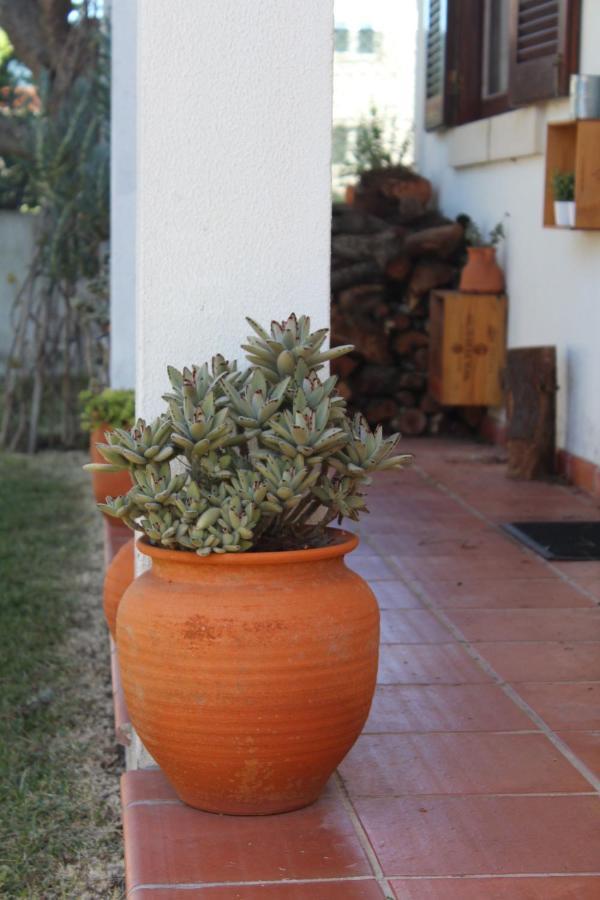 Santa Cruz Beach House Areias Bagian luar foto