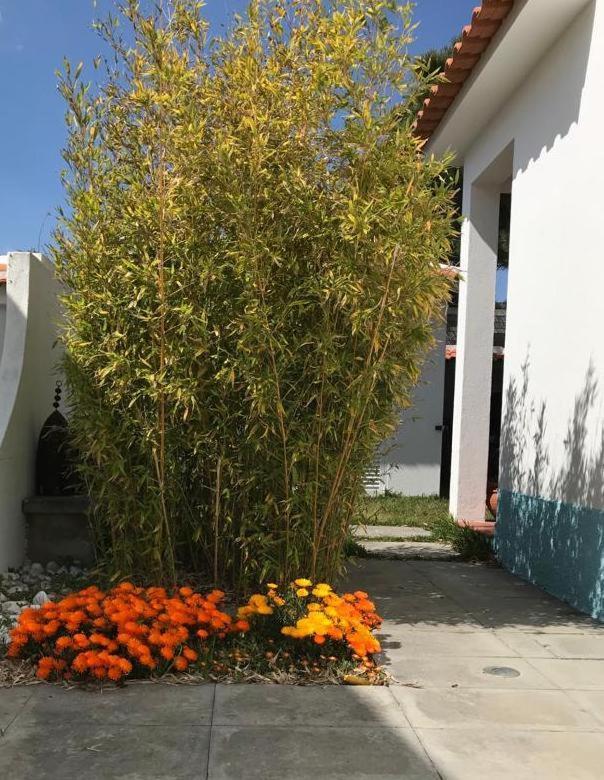 Santa Cruz Beach House Areias Bagian luar foto